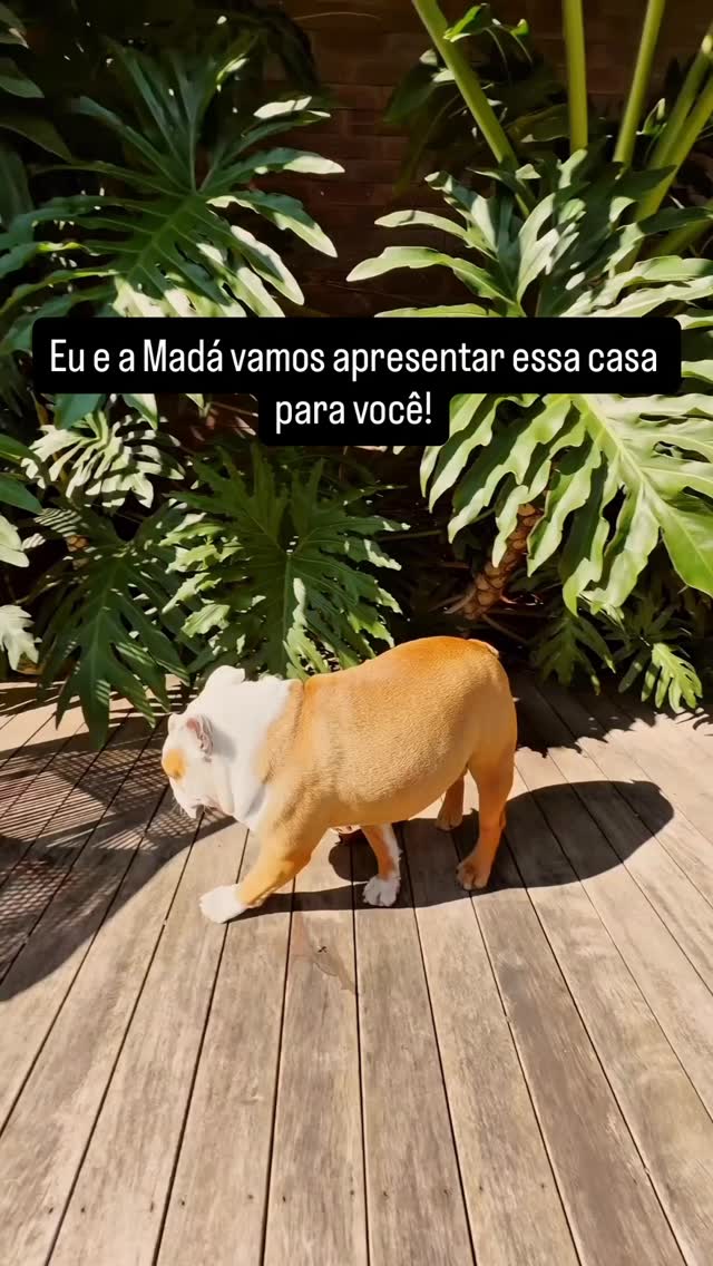 Post 6